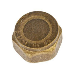 22mm Brass Fitting Cap Threaded BFC22