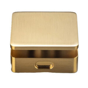 AQM-SH-BG Aquamist Square Steam Head Brushed Gold